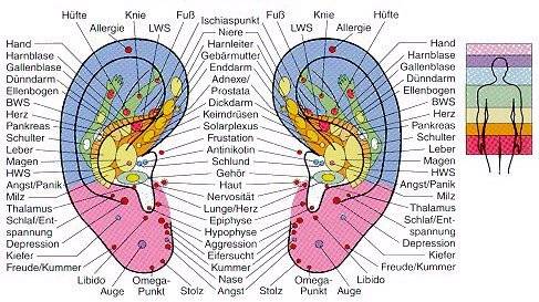 daotcm acupuncture points arm chart